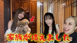 動画サムネイル