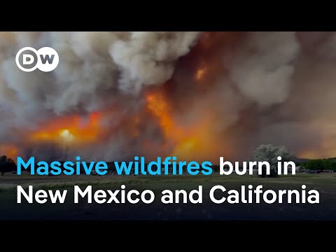 United States hit by 'heat dome' phenomenon | DW News