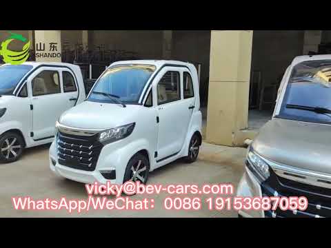 small electric car for adults eec coc l6e certification for vehicles from Yunlong Motors