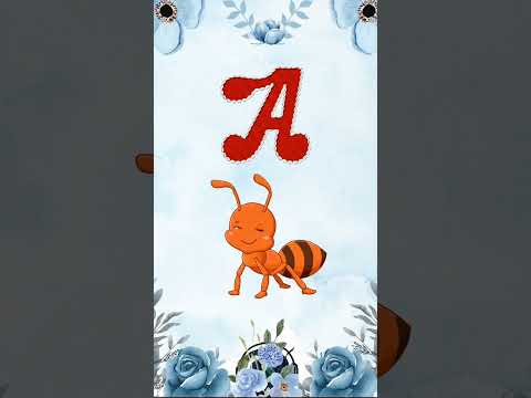 Words Starting from A