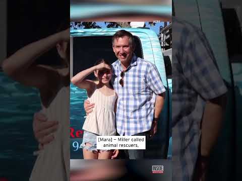 Sea Lion Pup 'Asks' Human Family For Help #shorts