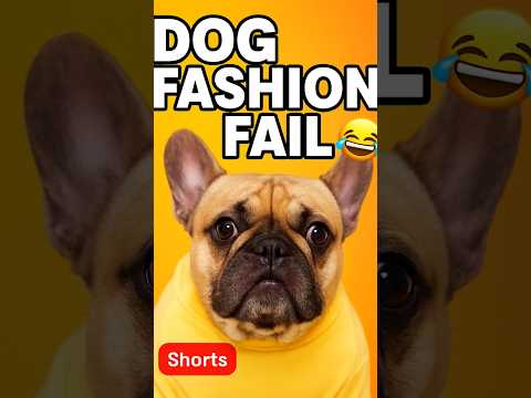 Dog Fashion Fail 😂🐶 | Funniest Dog Reactions Ever!|#Shorts:#FunnyDog #DogComedy #DogShorts #PetFails