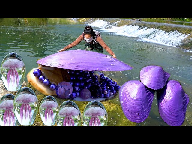 🎁💎The giant purple clam has nurtured charming and precious purple pearls, bringing me immense wealth