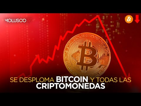 Se desploma el Bitcoin y todas las criptomonedas. Los detalles completos de lo que pasó