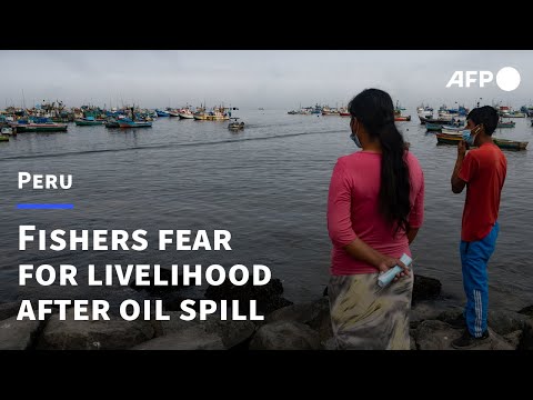 Fishermen in despair over Peru oil spill | AFP