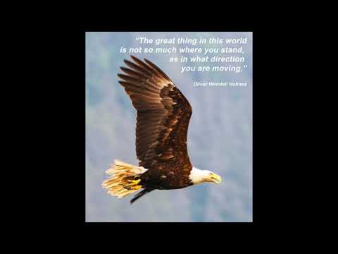True North Inspiration Through Nature - Soaring Eagle