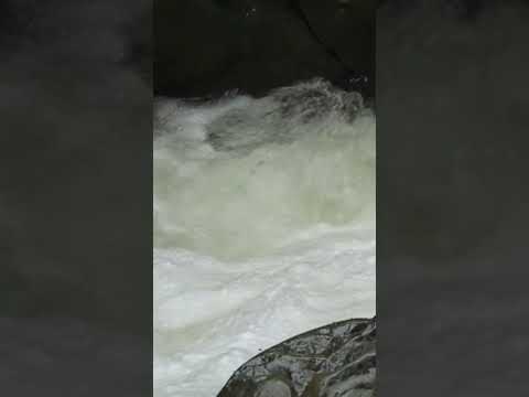 Free Nature waterfall sounds for deep relaxing