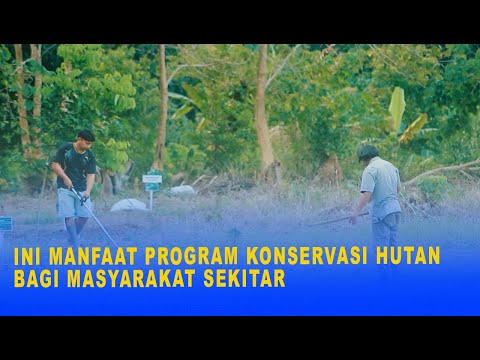 INI MANFAAT PROGRAM KONSERVASI HUTAN BAGI MASYARAKAT SEKITAR