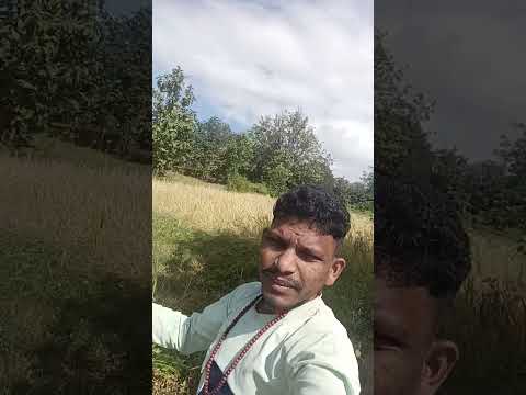 #love #hindisong #bollywoodsongs #song