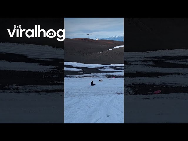 Sledding Girl Knocks Over Boyfriend || ViralHog