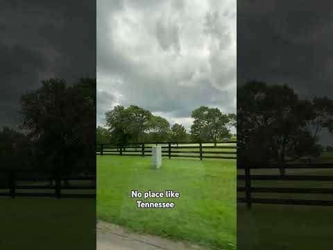 Tennessee rolling hills #tennessee #smokeymountains #tennesseelife #farmlife #travel #holidays