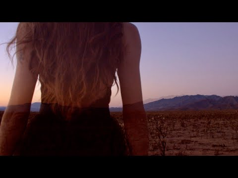Ariana Saraha & Flight Behavior - The Last Days – Official Music Video