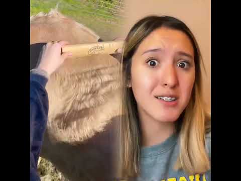 You get a rainbow 🌈 mark … but you try to hide it #shorts #viral #fypシ #explor #foryou #foryoupage