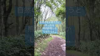 熊鈴の音って涼しく聞こえない？【竜田万秋/Vtuber 】 #shorts