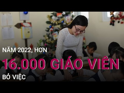 Năm 2022, cả nước có hơn 16.000 giáo viên bỏ việc | VTC Now