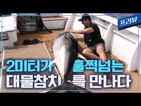 겐카이나다 <strong>몬스터</strong> 참치 3부[프리뷰/빅게임더와일드 104회]#tuna #tunafishing