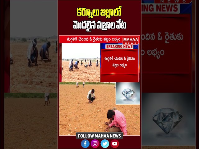 కర్నూలు జిల్లాలో మొదలైన వజ్రాల వేట | Latest Update | Kurnool | Mahaa News