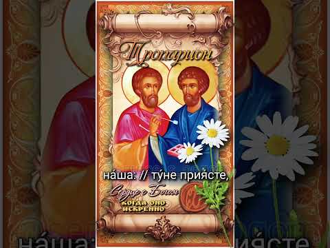 14 июля Св. безсребренники Косма и Дамиан (284г)