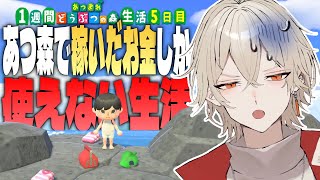 【あつ森】1週間あつ森で稼いだ金額しか使えない生活～5日目～【新人vtuber / 弐十】