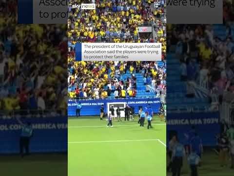 Uruguay players and Colombia fans fight
