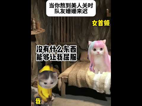 猫の動画サムネイル - 当你熬到美人关时队友姗姗来迟#有趣 #猫meme #猫meme剧场 #猫meme小剧场 #内容过于真实  #故事 #貓 #猫猫meme小剧场 #喵不可言