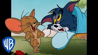 Tom a Jerry - vtipálci na celý život