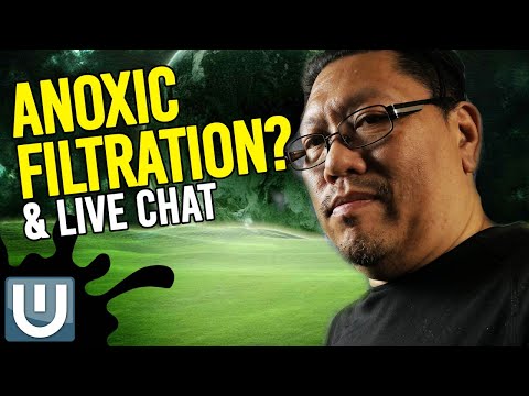 Anoxic Filtration and Live Chat! Let's talk a little about the Anoxic Filtration and have a little Q&A!

Join this channel to get acc