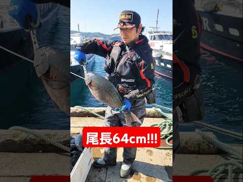 【男女群島】堂々の尾長64cm!!