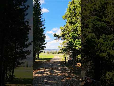 taking a drive threw the sticks #relax #naturelovers #outdoors #adventure #letsgo #natureescape