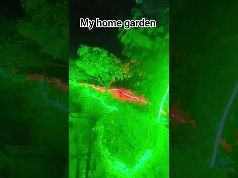 #chal chal dhaniya aarti utare#lifeisbutadream #suratkumarisinghdxn999