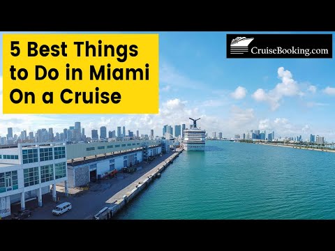 5 Must-Try Activities in Miami on a Cruise | CruiseBooking.com