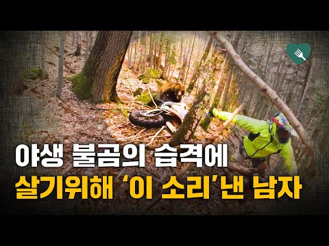 등산로서 불곰 만난 라이더들 대처