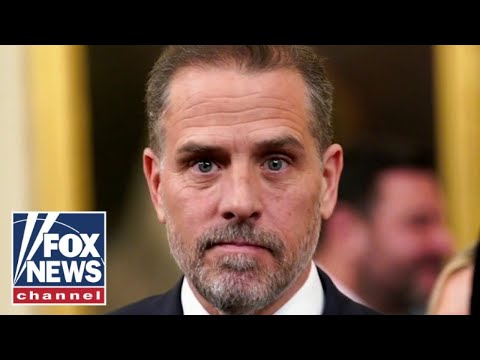 'The Five': Hunter Biden IRS whistleblower speaks out for first time
