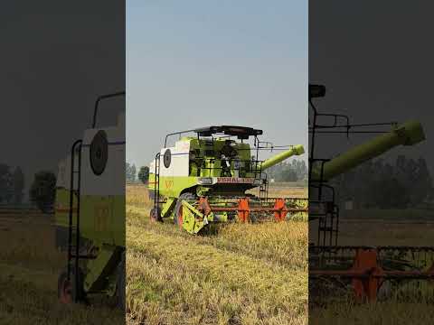 चलती है रानी सुन्दरता #vishal435 #jhotacombine #jhitatractor #harehtarkha