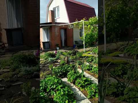 #дача #омск #лето #июнь #shorts