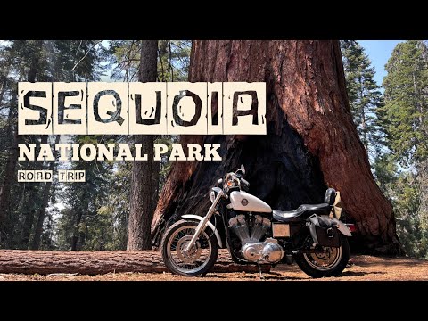Sequoia National Park