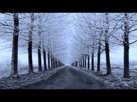 제인 - 초설(初雪)