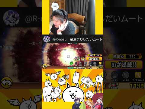 謝罪エアプは本当によくない【にゃんこ大戦争】