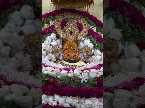 हौसला रखना आज नहीं तो कल तुम्हारा होगा 🌻🚩 #shyam #jaishreeshyam #katha #viralvideo #plzsupoort