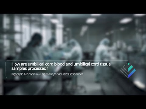 How are umbilical cord blood and umbilical cord tissue samples processed?