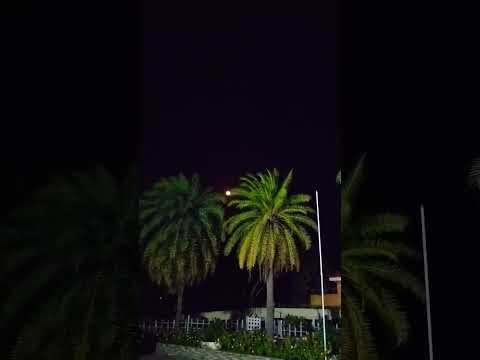 #surahannas #trending #nature #المصحف #beautifulquran #egzonibrahimi #travel #quranrecitation #viral