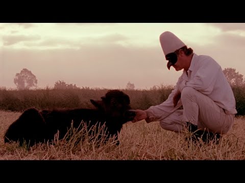 Bella e perduta'