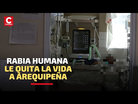 Arequipa: La rabia, un virus mortal para el ser humano