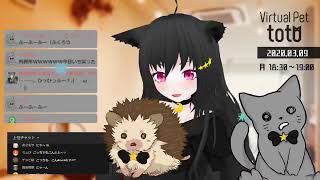 【SHOWROOM】totoฅ•ω•ฅとある猫カフェ＜ミラー配信＞