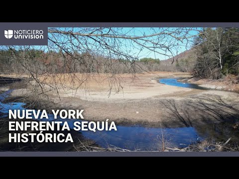 Nueva York enfrenta la mayor sequía en décadas: el alcalde Eric Adams pide ahorrar agua