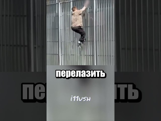 Не тот забор выбрал