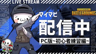 【PUBG】初心者でひたすらPC版を練習します【新人Vtuber】