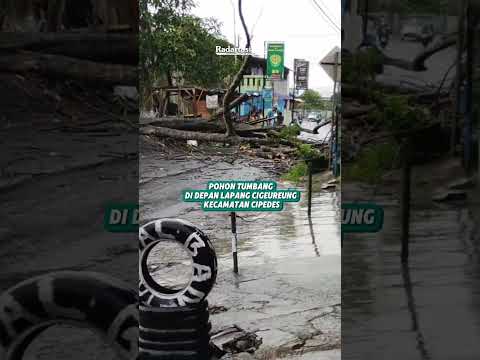 Pohon tumbang di Jl Cigeureung depan lapang Cigeureung Kecamatan Cipedes, Jumat 24 Januari 2025.