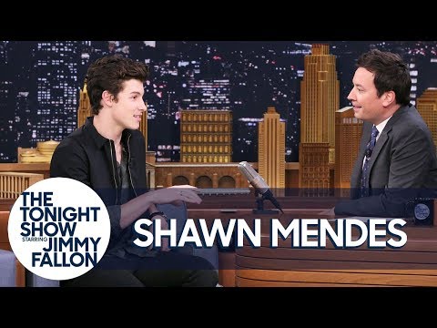 Shawn Mendes Got Roughed Up by Drake's Security Team