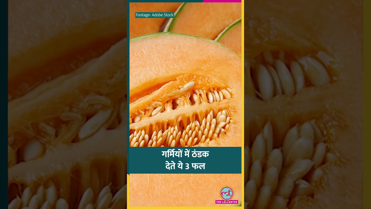 Summer Season शुरू, ये 3 Gut Friendly Fruits ज़रूर खाएं #sehat #ltsehat #shorts